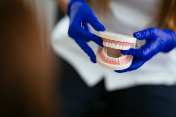 Clayton, NC Dental Services Company